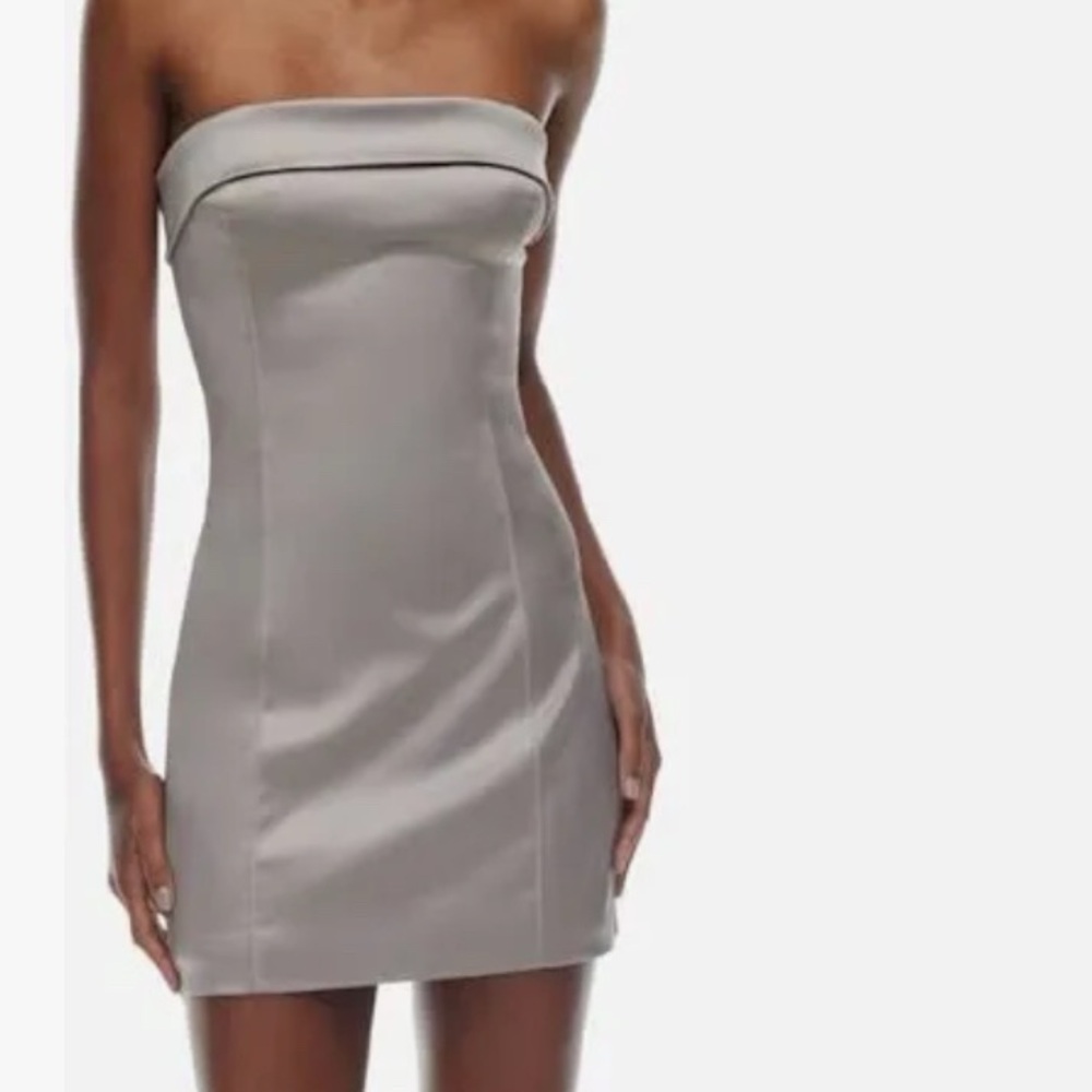 Aritzia Strapless Silver Dress
